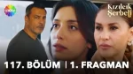 Kızılcık Şerbeti 117. Bölüm Fragmanı içeriğine ait görsel