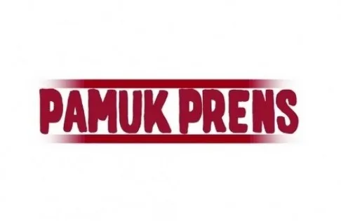 Pamuk Prens Dizisi Bitti Mi?