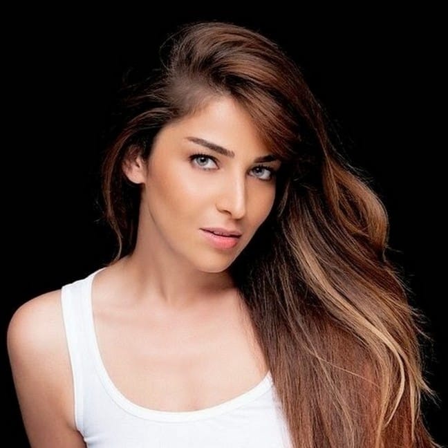 Meryem Dizisi Elif Kimdir?