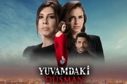 Yuvamdaki Düşman Dizisi Oyuncuları Ve Konusu
